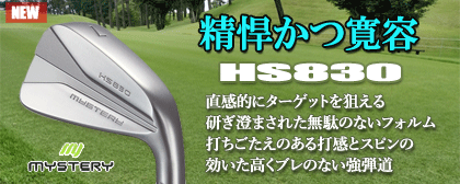 MYSTERY HS830